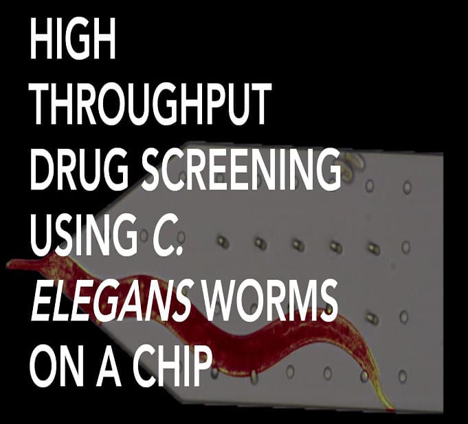High Throughput Drug Screening