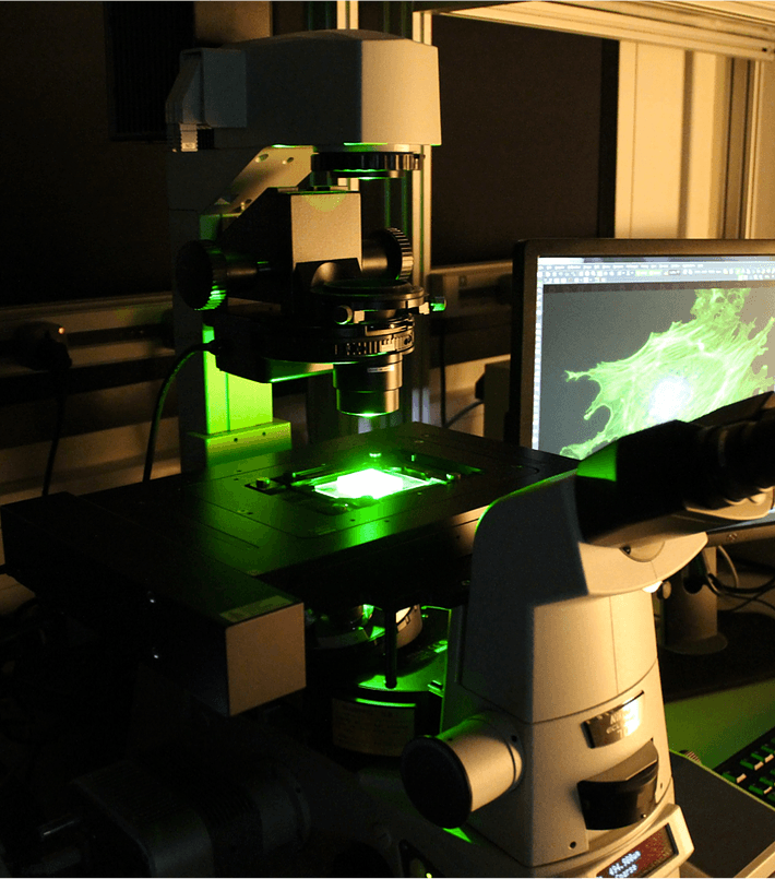 Cell Imaging Microscope